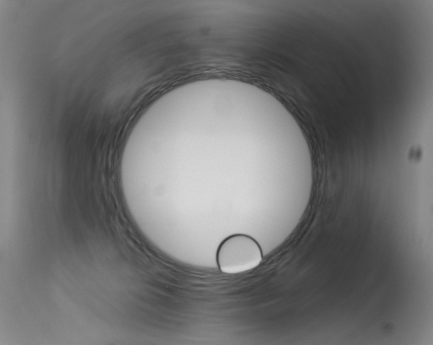 X0000115530276200911061134