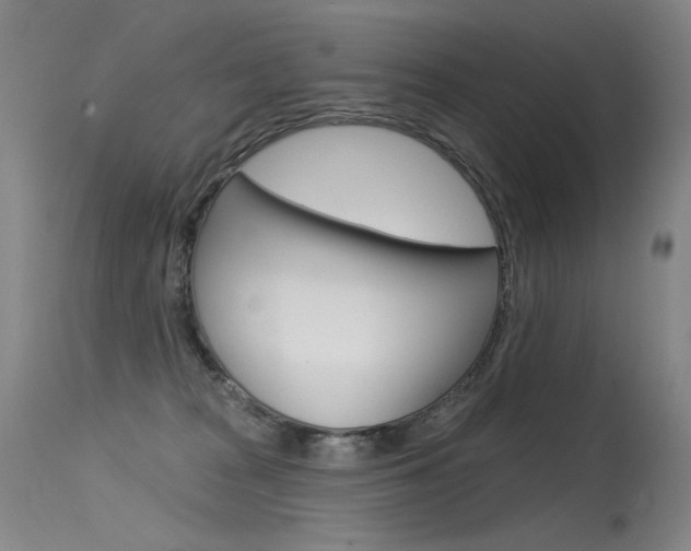X0000115530277200911061134