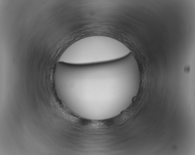 X0000115530278200911061134