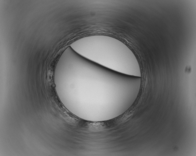 X0000115530281200911061134