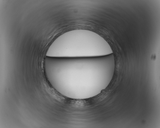 X0000115530282200911061134