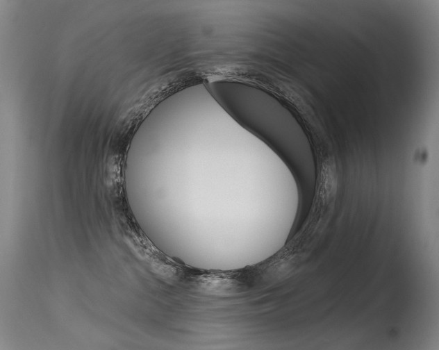 X0000115530284200911061134