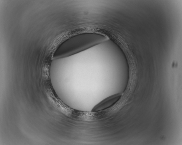 X0000115530288200911061134