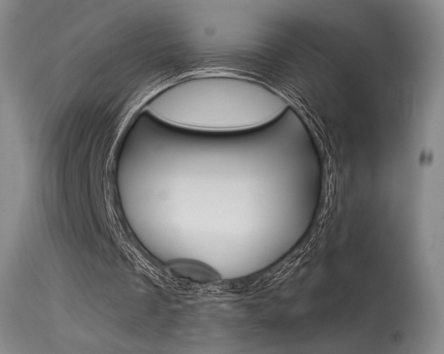 X0000115530289200911061133