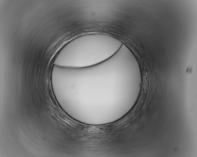 X0000115530290200911061133