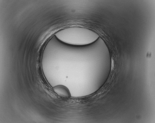 X0000115530291200911061133