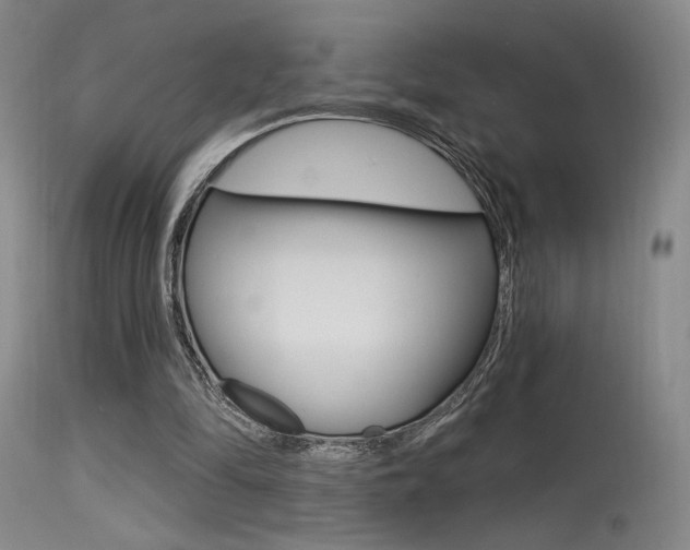 X0000115530294200911061133