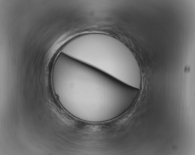 X0000115530295200911061133