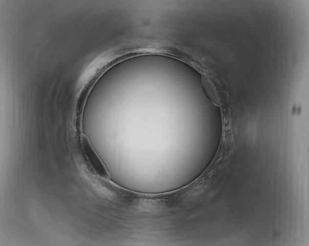 X0000115530296200911061133