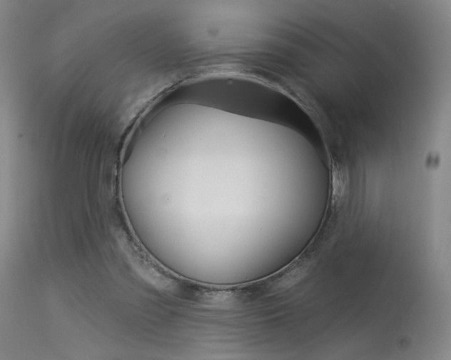 X0000115530301200911061133