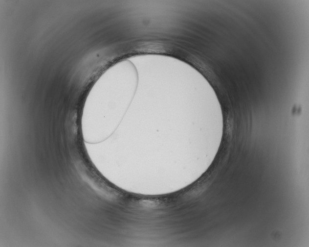 X0000115530302200911061133
