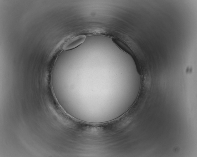 X0000115530304200911061133