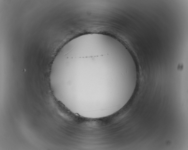 X0000115530307200911061133
