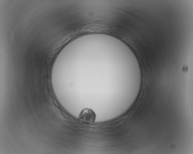 X0000115530309200911061133