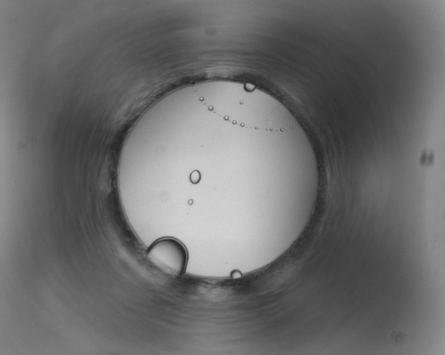 X0000115530311200911061133