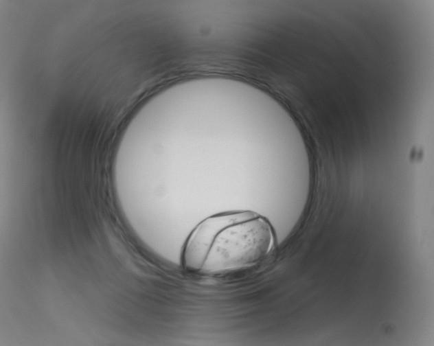 X0000115530312200911061133