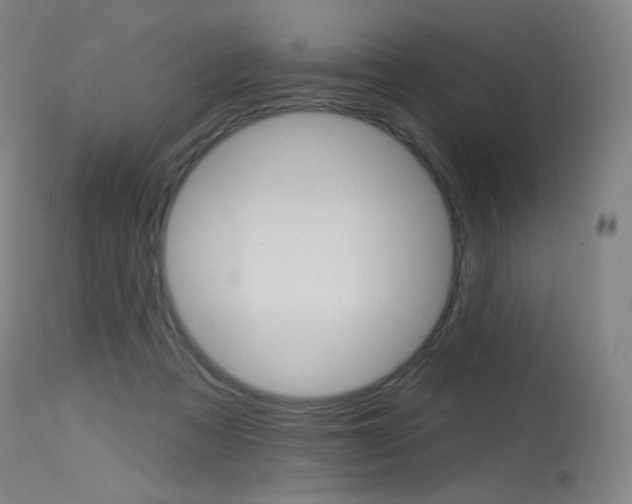 X0000115530313200911061133