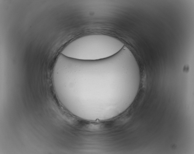 X0000115530314200911061133