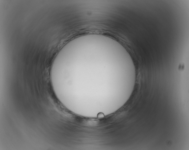 X0000115530318200911061133