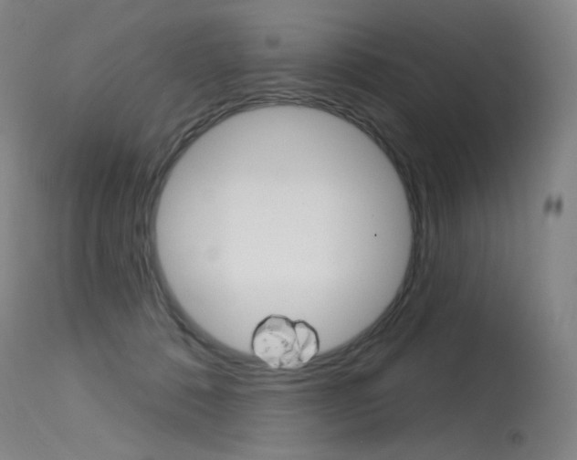 X0000115530320200911061133