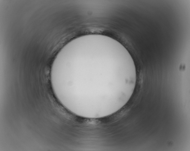 X0000115530321200911061133