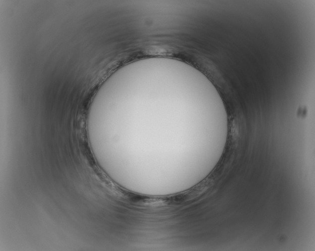 X0000115530322200911061133