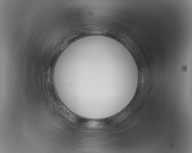 X0000115530326200911061133