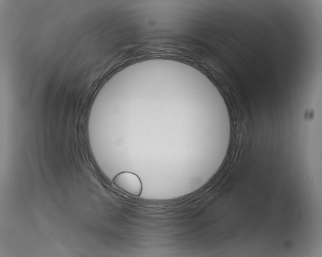 X0000115530327200911061133