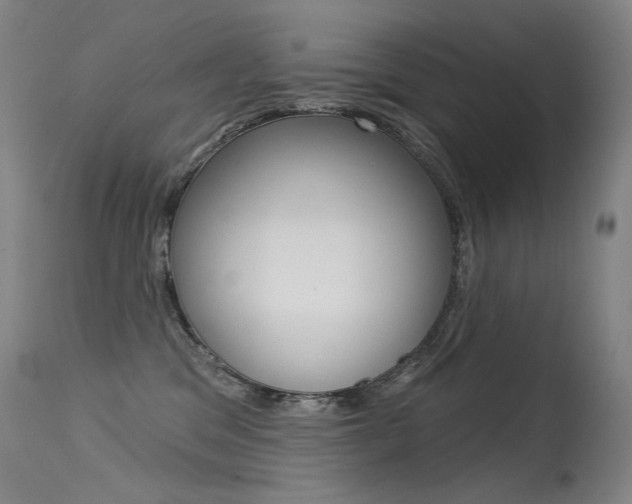 X0000115530329200911061133
