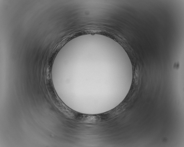 X0000115530330200911061133
