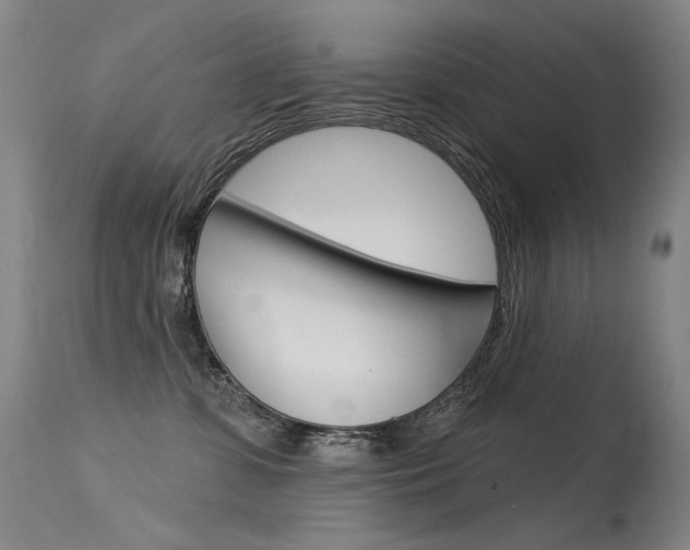 X0000115530331200911061133