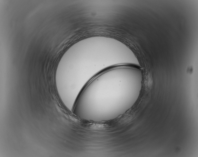 X0000115530332200911061133