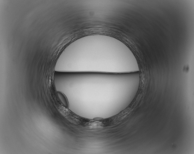 X0000115530333200911061133