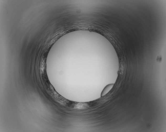 X0000115530334200911061133