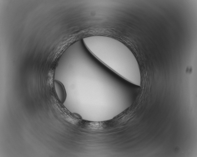 X0000115530335200911061133