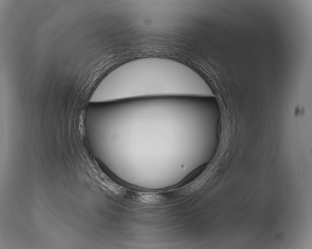 X0000115530336200911061133