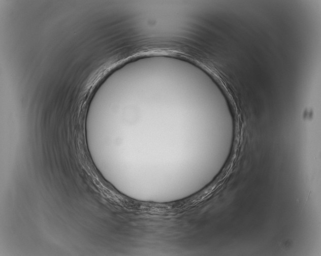 X0000115530337200911061132