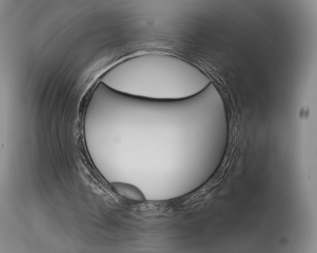 X0000115530338200911061132