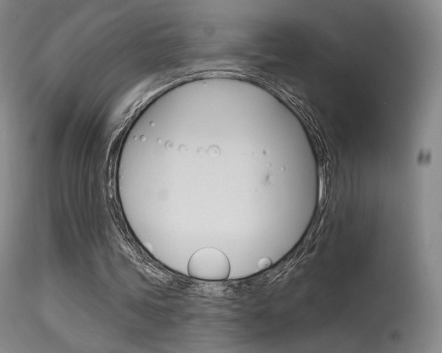 X0000115530339200911061132