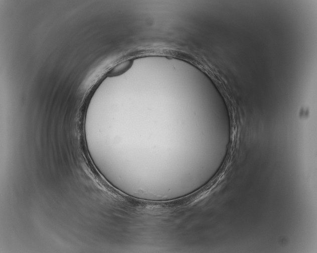 X0000115530341200911061132