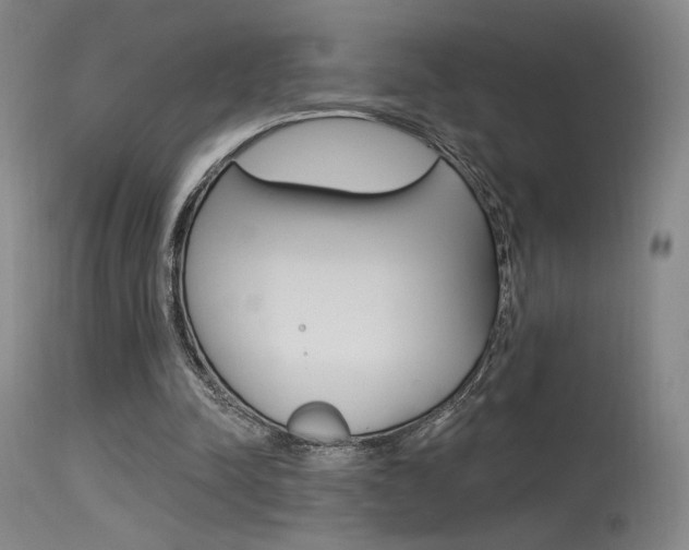 X0000115530342200911061132