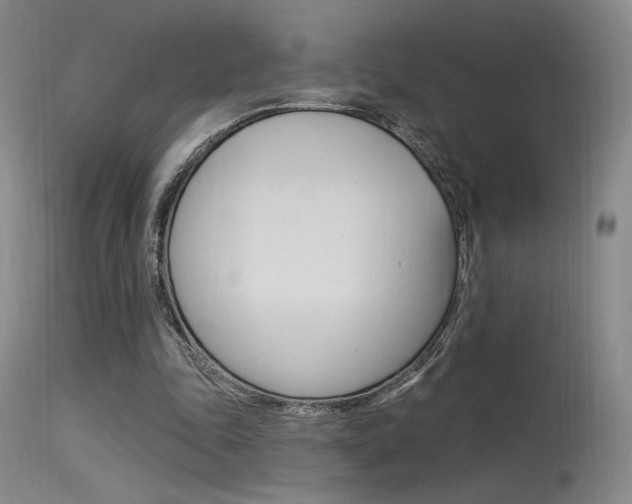 X0000115530343200911061132