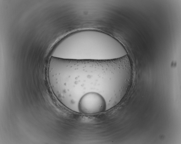 X0000115530346200911061132