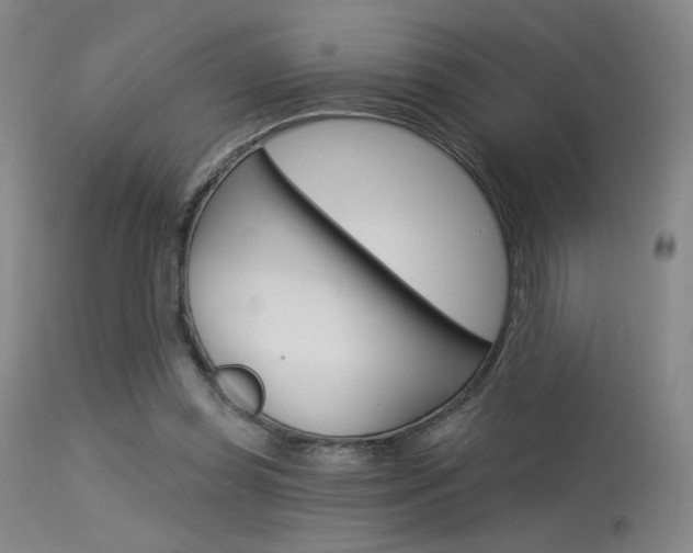 X0000115530349200911061132
