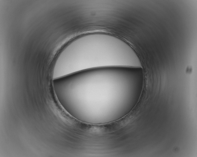 X0000115530350200911061132