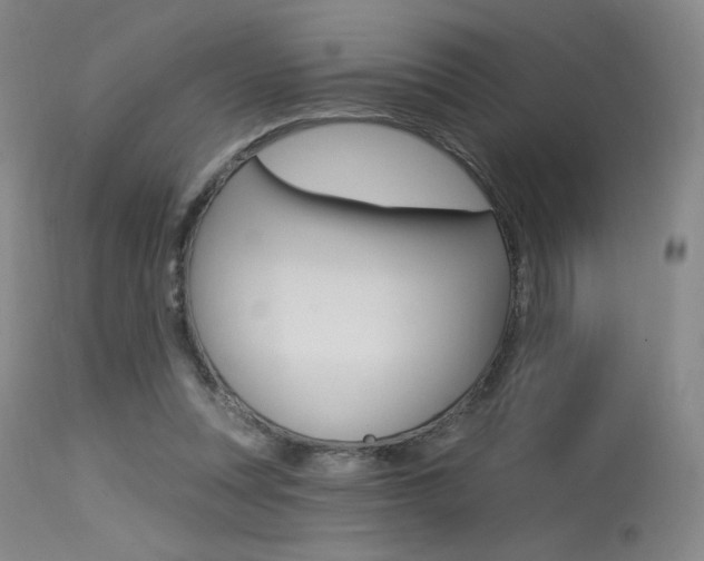 X0000115530351200911061132