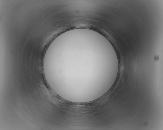 X0000115530353200911061132