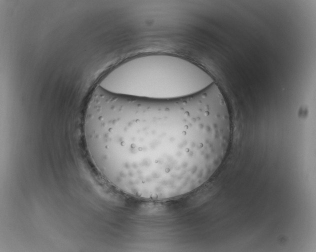 X0000115530354200911061132
