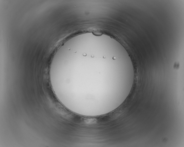 X0000115530355200911061132