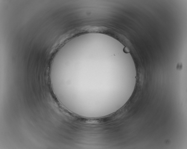 X0000115530357200911061132